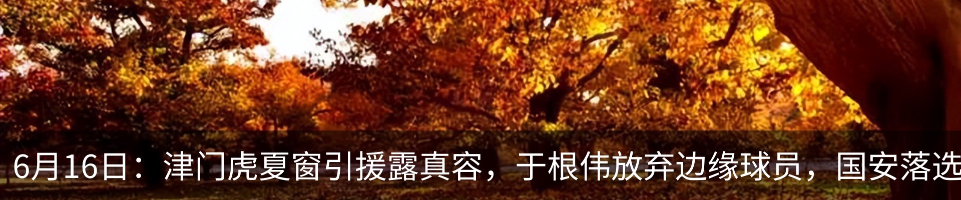 资讯动态